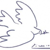 Dove Dove
